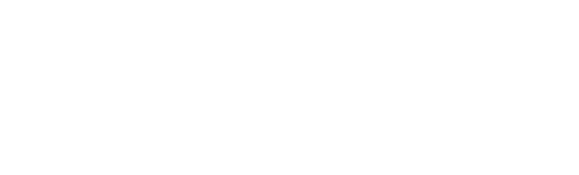 Logo_white_2