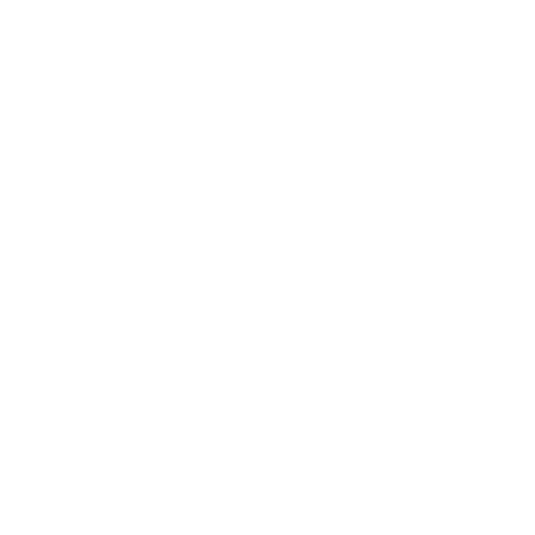 LOGO_STUD-POINT_white_png_prozrachnyy_1