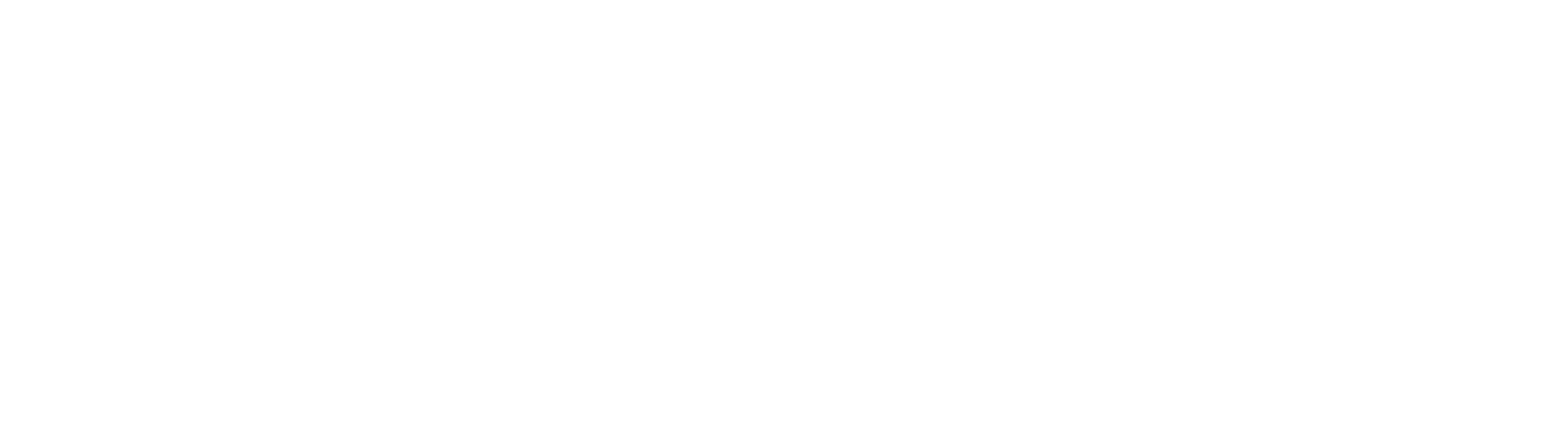 logo_white4x